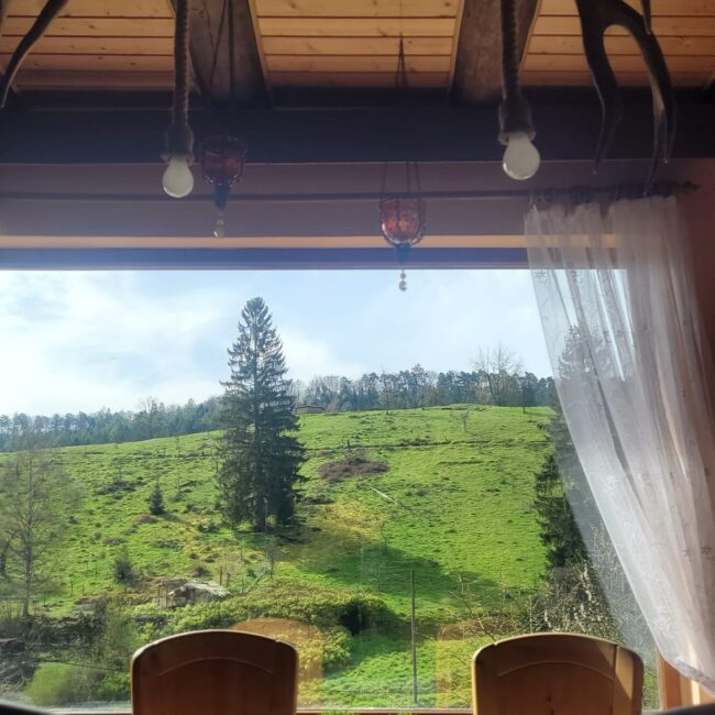 Esstisch mit vier Stühlen vor einem großen Fenster mit Blick auf den grünen Pfälzerwald.