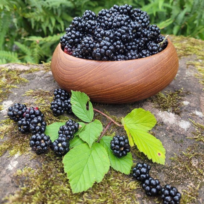 Brombeeren in einer runden Holzschale stehend auf einem Stein.